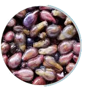 Grape Seed Extract - powerful antioxidant for brain protection